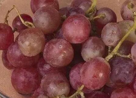 葡萄是热性还是凉性水果