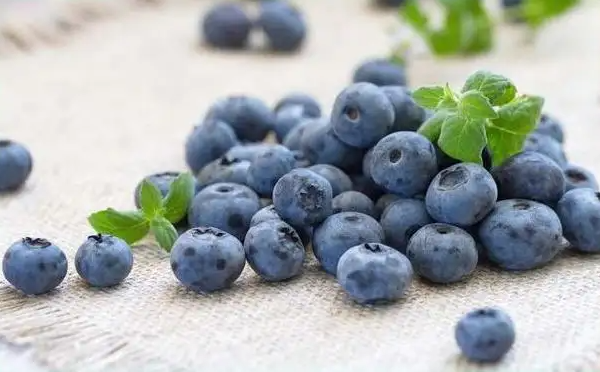 蓝莓一天吃多少为宜（蓝莓一天吃多少为宜呢）