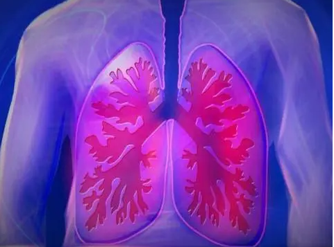 肺癌晚期最怕三个征兆（肺癌晚期吃靶向药能生存多久）