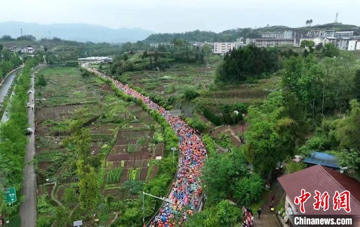 2023三峡橘乡·田园马拉松鸣枪起跑 3千名选手上演一场跑步狂欢