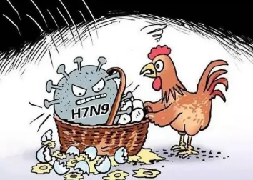 一国出现人感染禽流感病例（各国爆发禽流感）