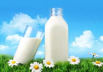 为什么不建议长期喝有机奶粉（奶粉和纯牛奶哪个更有营养）