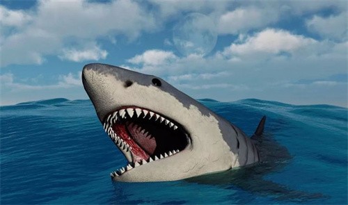 巨齿鲨的祖先是什么（巨齿鲨的祖先是什么鲨鱼）