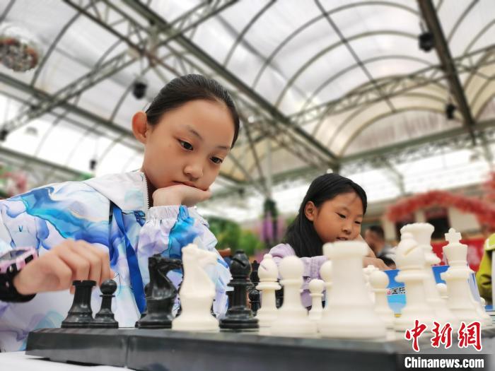 青海省象棋、围棋锦标赛及国际象棋少年个人冠军赛开赛