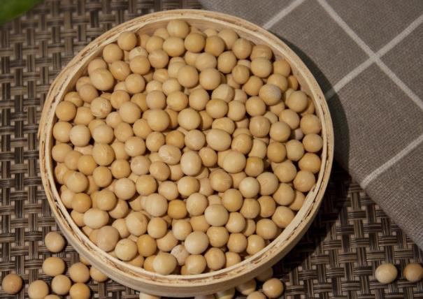 100克黄豆的热量多少吃黄豆能减肥吗(100克黄豆有多少大卡)