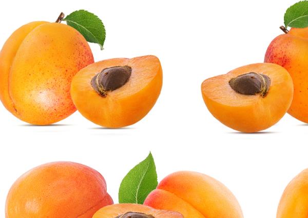 吃杏子有什么副作用吗