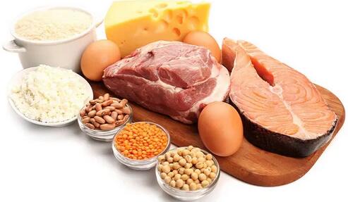 高蛋白食物主要是哪些（哪些是高蛋白食物）