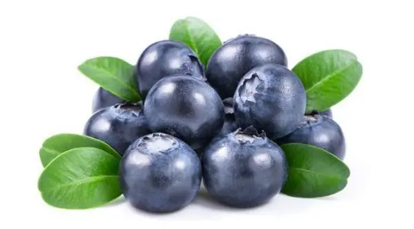 蓝莓的功效与作用，每天一颗蓝莓，养颜又美容