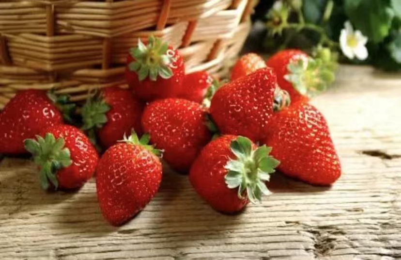 为什么冬天的草莓不能吃（为什么草莓冬天才能吃夏天不能吃?）