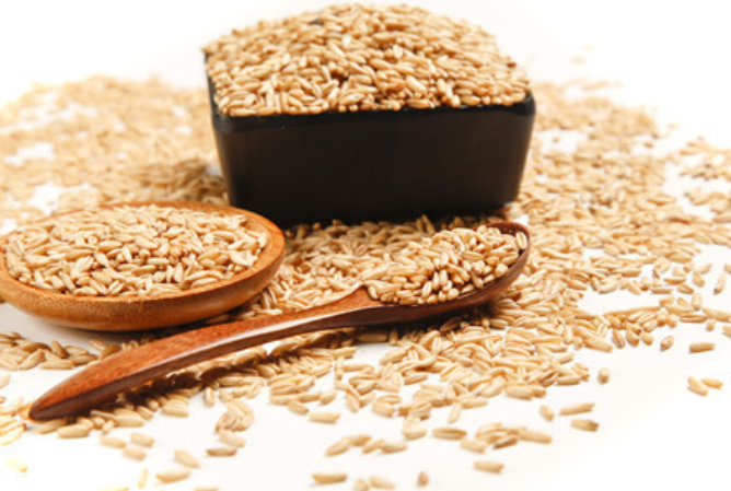 糙米的功效与作用（糙米的功效与作用减肥）