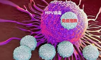 HPV病毒能导致哪些疾病（hpv病毒能导致哪些疾病复发）