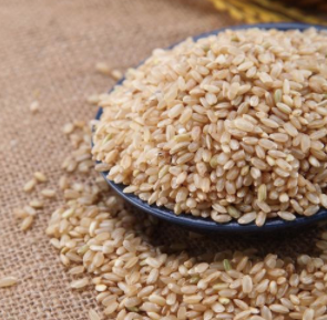糙米是什么米（糙米是什么米怎么煮）