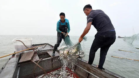 四川禁渔期新规定2021可以钓鱼吗