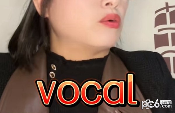 vocal是什么意思 vocal是什么梗