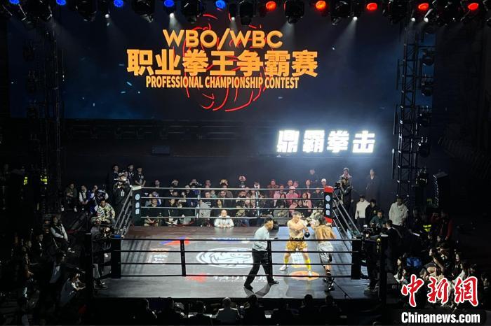 WBO/WBC职业拳王争霸赛精彩上演 刘文松赢得金腰带