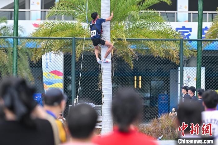 海南省七届民族运动会趣味项目多 选手9秒爬上椰子树